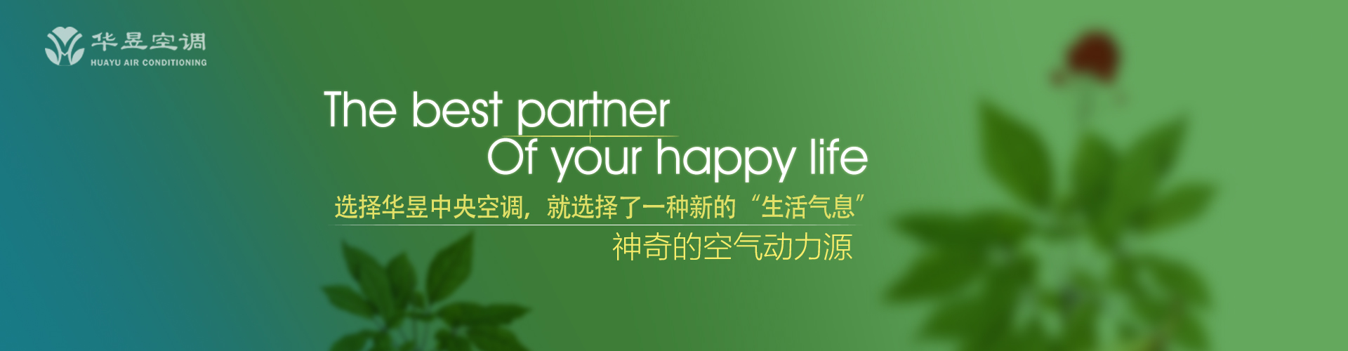 全盘托出网